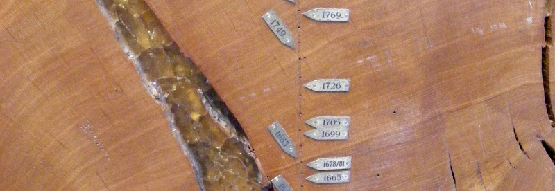 Dendrochronologie Wie alt ist der Holzbalken? segu