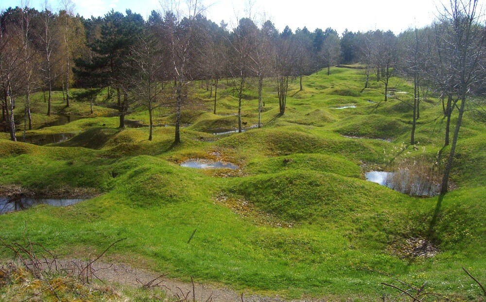 Сколько стоит verdun